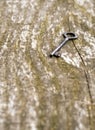 Old skeleton key Royalty Free Stock Photo