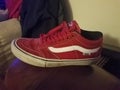 Old Skool Vans