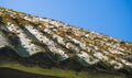 Old slate roof covered with moss Royalty Free Stock Photo