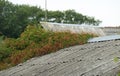 Old slate roof covered with moss and dry branches. Lithuania Royalty Free Stock Photo