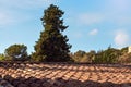 Old slate tiled roof in summer holiday resort, blurred trees background Royalty Free Stock Photo