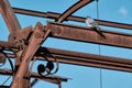 Old slaughterhouse structure with rusty iron decorations EX MACELLO MONZA italy, lombardy Royalty Free Stock Photo