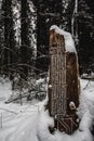 Old Slavonic text on a tree stump in the forest. Cyrillic Old Slavic letter are inscribed on wood in a snow-covered forest