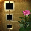 Old slides for photo with pink rose Royalty Free Stock Photo