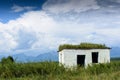 Old small abandoned and ruinous country house with plants on the roof in Russia