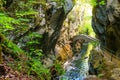 Old small stone bridge over river at Gorges de l\'Areuse, Switzerland