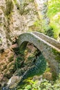 Old small stone bridge over river at Gorges de l\'Areuse, Switzerland Royalty Free Stock Photo