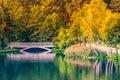 Old small white bridge over lake at sunny autumn day Royalty Free Stock Photo