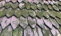 Old and small wooden roofs covered with moss