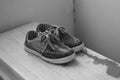 The old sneakers Royalty Free Stock Photo