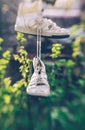 Old sneakers and green spring garden Royalty Free Stock Photo