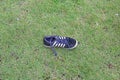 Old sneakers lay in the grass green Royalty Free Stock Photo