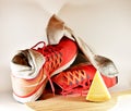 Old Sneakers. Old running shoes. People, pair. Royalty Free Stock Photo