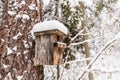 Old snowed wooden bird house on tree, on a winter day. The concept of helping the birds
