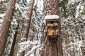 Old snowed wooden bird house on tree, on a winter day. The concept of helping the birds