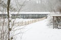 An old snowy barn behind birch trees in nature reserve kruisbergse Bossen Royalty Free Stock Photo