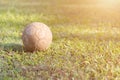 An old soccer ball on green grass. Royalty Free Stock Photo