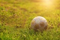 old soccer ball on green grass Royalty Free Stock Photo