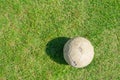 Old soccer ball on green grass of soccer field Royalty Free Stock Photo