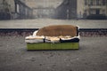 Old sofa in a dirty City Royalty Free Stock Photo