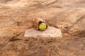 Old softball gloves and old softball balls on the homepage in a softball field Royalty Free Stock Photo