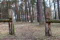 Old solid fence in the forest. The entrance gate on a forest road