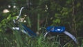 An old Soviet blue bicycle lies in the thick grass. High quality photo Royalty Free Stock Photo