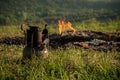 The old Soviet kerosene primus on nature. Royalty Free Stock Photo