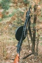 Old Soviet Russian DP Machine Gun Of World War II Leaning Against Trunk Of Tree. Weapon Of Red Army