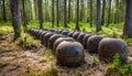 Old soviet underwater naval mines casings scattered the forest of Naissaar island, Estonia