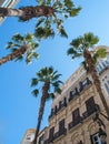 Old spanish houses with palm trees Royalty Free Stock Photo