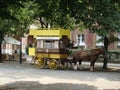 Old special tourist tram with horse