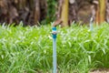 Old spinger and pvc pipe in farmland Royalty Free Stock Photo