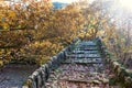 old stair bridge in park covered with yellow maple leaves.autumn concept Royalty Free Stock Photo