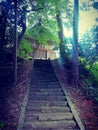 Old stair to shinto shrine, Sado island, Japan Royalty Free Stock Photo