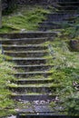 Old staircase partly covered with moss Royalty Free Stock Photo