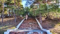 An old staircase with red brick steps in a park or forest on a spring, autumn or summer day. Background, location Royalty Free Stock Photo