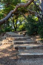 Old staircase and surrounding vegetation in Dubrovnik. Croatia Royalty Free Stock Photo
