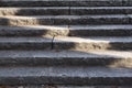 Old Stairs Royalty Free Stock Photo