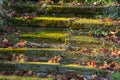 Old Stairs Covered by Moss in Winter Royalty Free Stock Photo