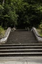 Old stairs in the forest Royalty Free Stock Photo