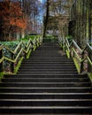 Old stairs in forest. moss coverd with stone steps in forest in Bielefeld Royalty Free Stock Photo