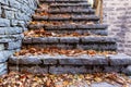 Old stairs in park covered with yellow maple leaves. Autumn concept Royalty Free Stock Photo