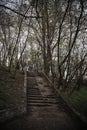 Old stairs in the park, with ruined, crumbling and grass-covered steps. Gloomy, mystical toning. Concept of devastation Royalty Free Stock Photo