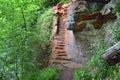 Old Stairs in Sandstone Gorge Landscape of West Scotland Royalty Free Stock Photo