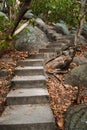 Old stairs and surrounding vegetation Royalty Free Stock Photo