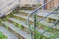Old stairs, weeds, grass Royalty Free Stock Photo