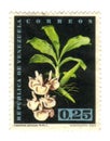 Old stamp from Venezuela Royalty Free Stock Photo