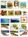 Old stamps from oceania Royalty Free Stock Photo