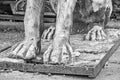 Old statue of the animal's paw in black and white Royalty Free Stock Photo